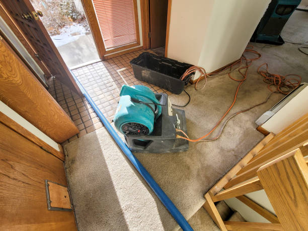 Best Residential water damage restoration  in Pleasant Hill, IA