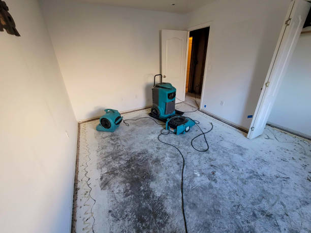 Best Fire Damage Restoration  in Pleasant Hill, IA