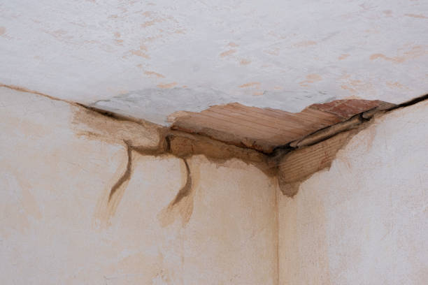 Best Water damage restoration near me  in Pleasant Hill, IA