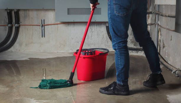 Best Flood restoration services  in Pleasant Hill, IA