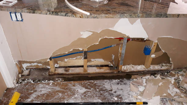 Best Ceiling water damage repair  in Pleasant Hill, IA