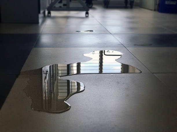 Best Local water damage restoration  in Pleasant Hill, IA
