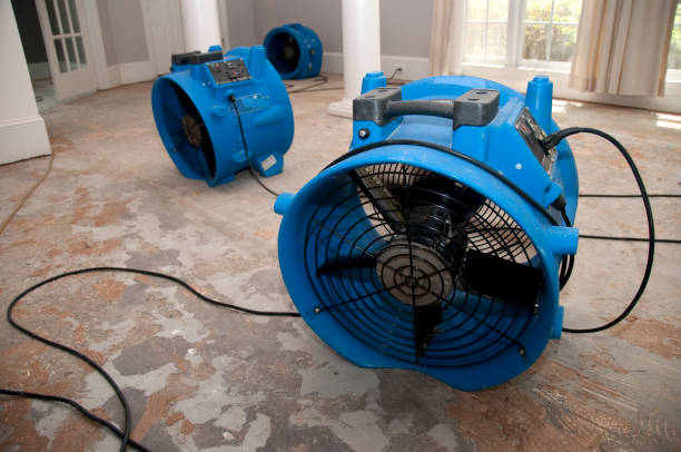 Best Basement water damage restoration  in Pleasant Hill, IA