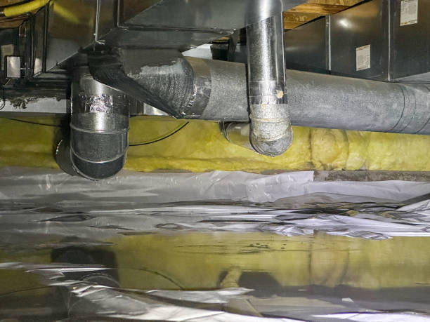 Best Water damage cleanup near me  in Pleasant Hill, IA