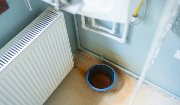 Best Water damage cleanup near me  in Pleasant Hill, IA