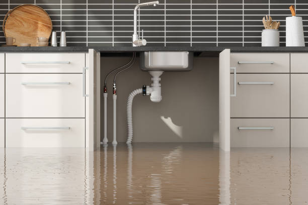 Best Sewage cleanup and water damage restoration  in Pleasant Hill, IA