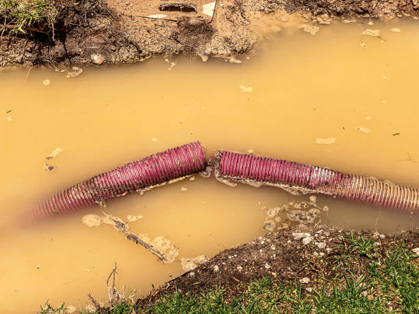 Best Professional water damage repair  in Pleasant Hill, IA