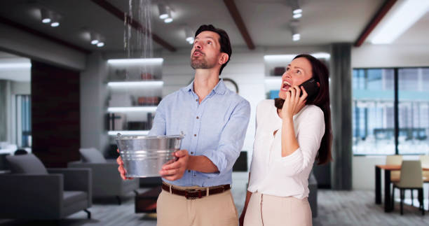 Best 24/7 water damage repair  in Pleasant Hill, IA