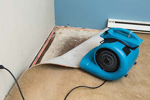 Best Mold removal after water damage  in Pleasant Hill, IA